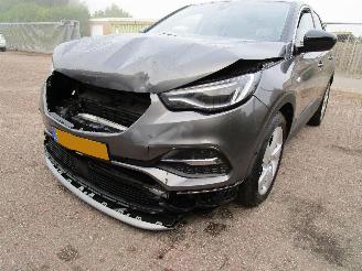 Opel Grandland X 1.2T Camera Navi Panodak picture 5