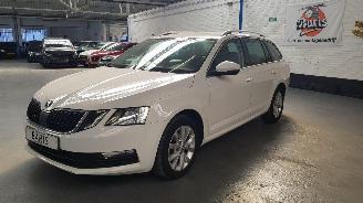  Skoda Octavia 1.4 TSI 16V G-TEC COMBI/O 4DRS  1.395CC 81KW 110PK 2018/8