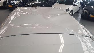 Seat Leon 1.0 TSI 12V  4DRS BENZ 999CC 85KW 116PK picture 8