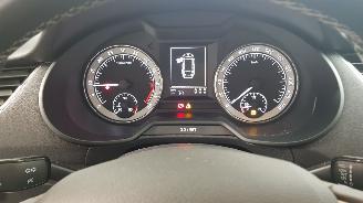 Skoda Octavia 2.0 TDI GREENTEC 16V 4DRS DSL 1.968CC 110KW 150PK picture 10