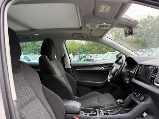 Skoda Karoq 1.0 TSI Style Business AUTOMAAT picture 13