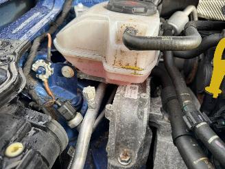 Volkswagen Polo 2.0 TSI GTI AUTOMAAT picture 12