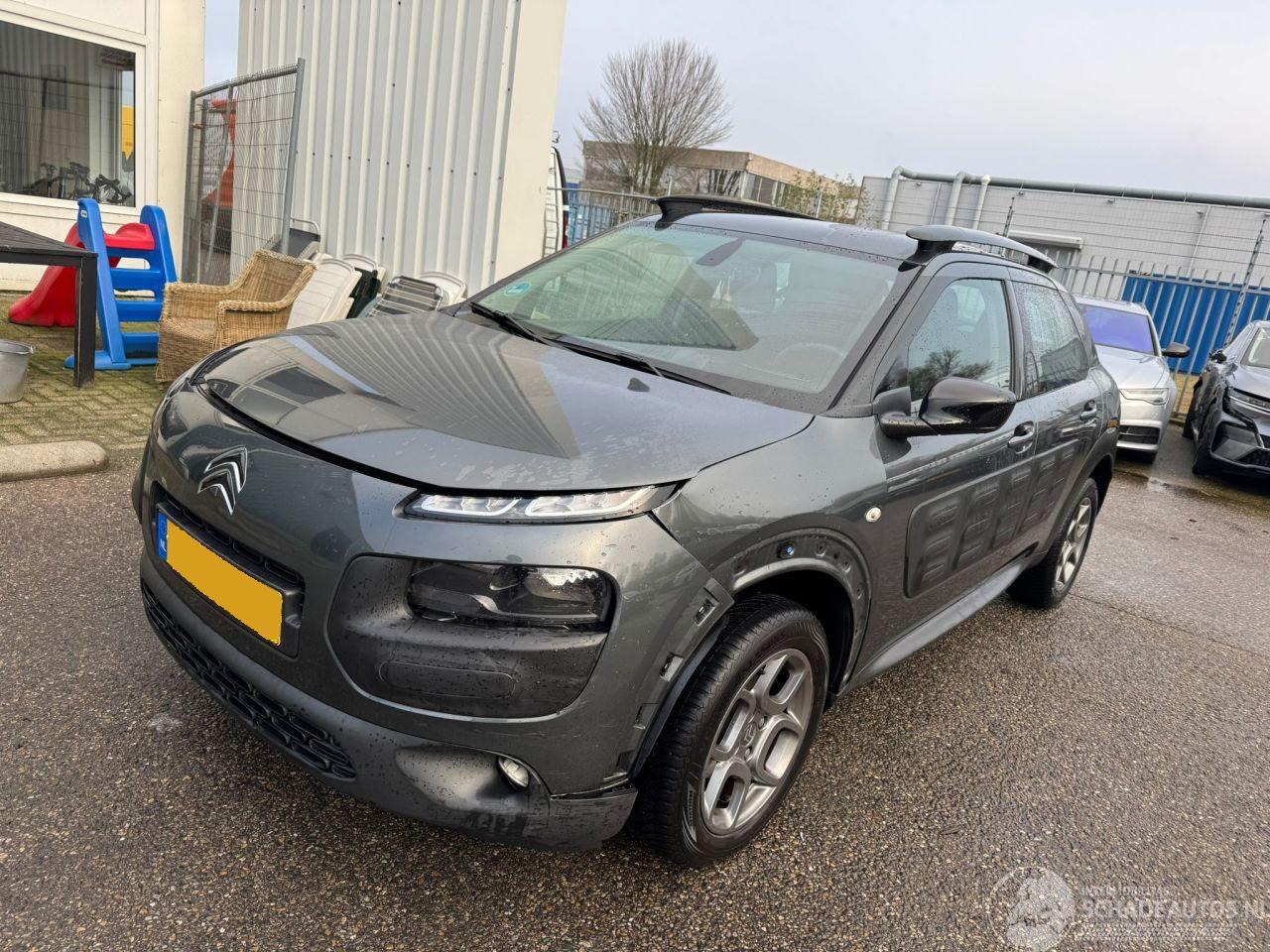 Citroën C4 cactus 1.6 BlueHDi Business