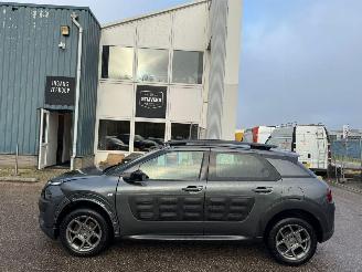 Citroën C4 cactus 1.6 BlueHDi Business picture 2