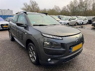 Citroën C4 cactus 1.6 BlueHDi Business picture 6