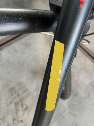 Stella  STELLA VICENZA DAMES picture 7