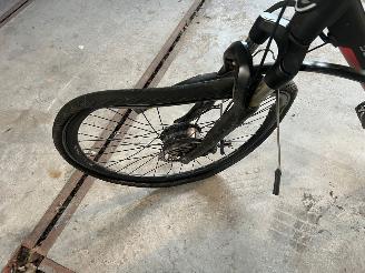 Stella  STELLA VICENZA DAMES picture 5