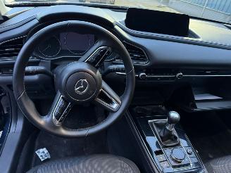 Mazda CX-30 2.0 e-SkyActiv-G M Hybrid Homura picture 10