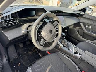 Peugeot 308 1.2 PureTech Active Pack Business picture 13