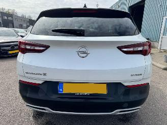 Opel Grandland X 1.6 Turbo Hybrid Business Executive picture 5
