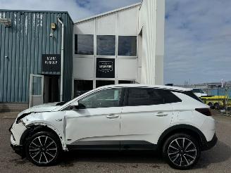 Opel Grandland X 1.6 Turbo Hybrid Business Executive picture 3