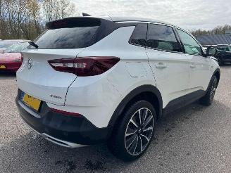 Opel Grandland X 1.6 Turbo Hybrid Business Executive picture 6