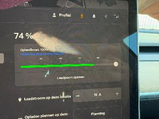 Tesla Model 3 Standard RWD Plus 60 kWh picture 18