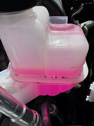 Mazda 2 Mazda 2 picture 10