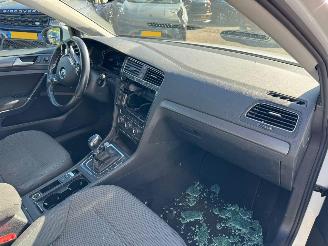 Volkswagen e-Golf e-Golf picture 13