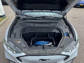 Ford Mustang Mach-e RWD 75 kWh picture 10