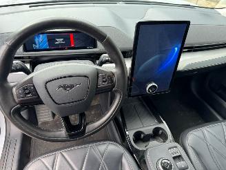 Ford Mustang Mach-e RWD 75 kWh picture 14