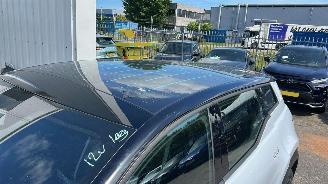 Fisker  AWD EXTREME Lng Range 113 kWh 572 PK picture 8