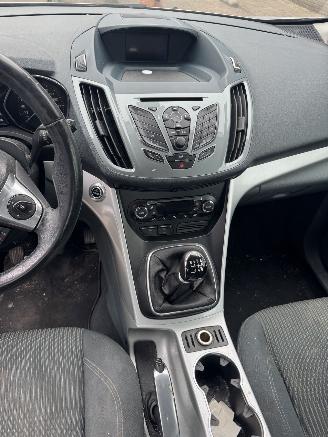 Ford Grand C-Max 1.6 EcoBoost Titanium 7p. picture 10