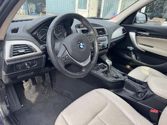 BMW 1-serie 116i Essentialistische picture 7