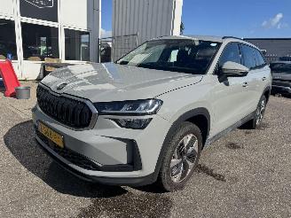 uszkodzony samochody osobowe Skoda Kodiaq 1.5 TSI MHEV Business Edition 7p 2024/6