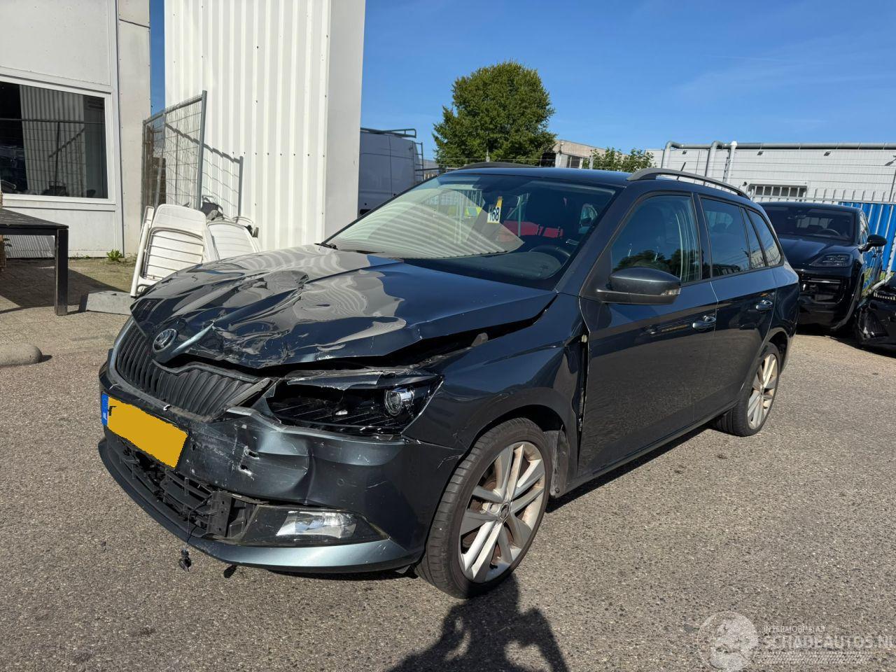 Skoda Fabia 1.2 TSI AUTOMAAT First Edition Style
