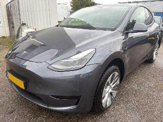 uszkodzony samochody osobowe Tesla Model Y RWD 58 kWh 2023/6