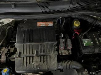 Fiat 500  picture 11