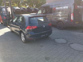 Volkswagen Golf Golf VII (AUA), Hatchback, 2012 / 2021 1.6 TDI 16V picture 3