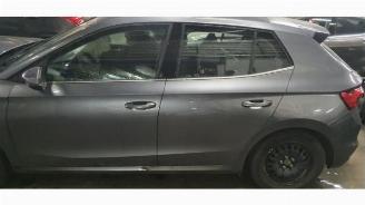 Skoda Fabia Fabia IV (PJ3), Hatchback 5-drs, 2021 1.0 TSI 12V picture 10