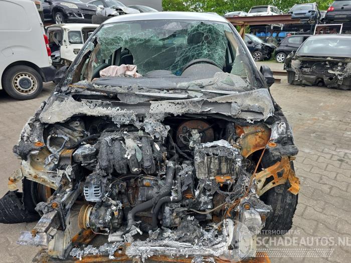 Renault Clio Clio III (BR/CR), Hatchback, 2005 / 2014 1.2 16V 75