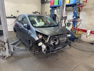 Kia Picanto Picanto (JA), Hatchback, 2017 1.0 DPI 12V picture 1