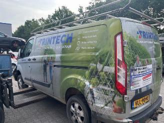 Ford Transit Transit Custom, Van, 2011 / 2023 2.0 TDCi 16V Eco Blue 170 picture 4