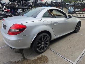 Mercedes SLK SLK (R171), Cabrio, 2004 / 2011 1.8 200 K 16V picture 6