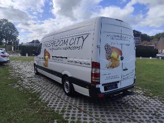 Mercedes Sprinter KOELWAGEN 316 CDI MAXI AIRCO picture 4
