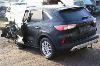 Ford Kuga Kuga III (DFK), SUV, 2019 2.5 PHEV 16V picture 3