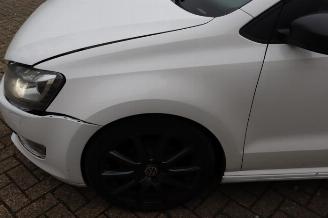 Volkswagen Polo Polo V (6R), Hatchback, 2009 / 2017 1.2 TDI 12V BlueMotion picture 31