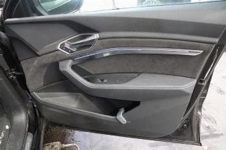 Audi E-tron e-tron (GEN), SUV, 2018 / 2023 55 quattro picture 33