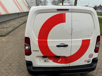 Opel Combo Combo Cargo, Van, 2018 1.6 CDTI 100 picture 17