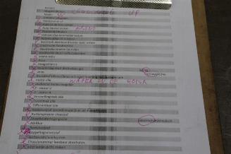 Volkswagen Up! Up! (121), Hatchback, 2011 1.0 12V 60 picture 30