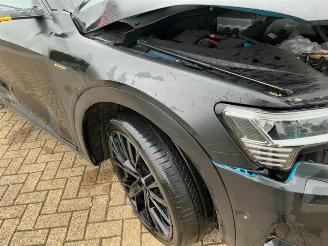 Audi E-tron e-tron (GEN), SUV, 2018 / 2023 55 quattro picture 32