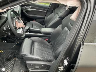 Audi E-tron e-tron (GEN), SUV, 2018 / 2023 55 quattro picture 11