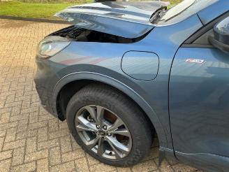 Ford Kuga Kuga III (DFK), SUV, 2019 2.5 PHEV 16V picture 15