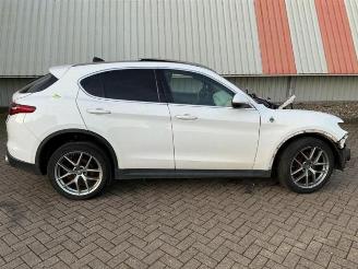 Alfa Romeo Stelvio Stelvio (949), SUV, 2017 2.0 T 16V Q4 picture 2