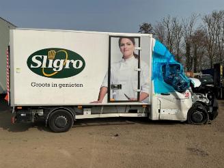 Renault Master Master III (EV/HV/UV/VA/VB/VD/VF/VG/VJ), Chassis-Cabine, 2010 2.3 dCi 165 16V RWD picture 8