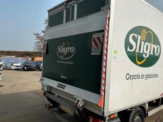 Renault Master Master III (EV/HV/UV/VA/VB/VD/VF/VG/VJ), Chassis-Cabine, 2010 2.3 dCi 165 16V RWD picture 30