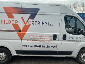 Fiat Ducato Ducato (250), Bus, 2006 2.3 D 130 Multijet Minibus Extralongo picture 10