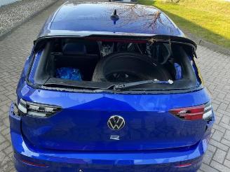 Volkswagen Golf Golf VIII (CD1), Hatchback, 2019 2.0 TSI R 16V 4Motion picture 26