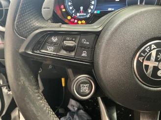 Alfa Romeo Tonale Tonale, SUV, 2022 1.3 T Hybrid Q4 picture 20