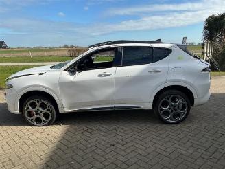 Alfa Romeo Tonale Tonale, SUV, 2022 1.3 T Hybrid Q4 picture 6